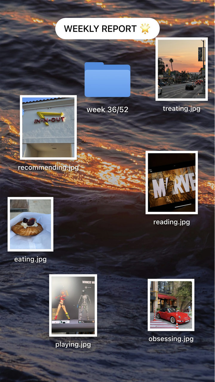 Weekly report