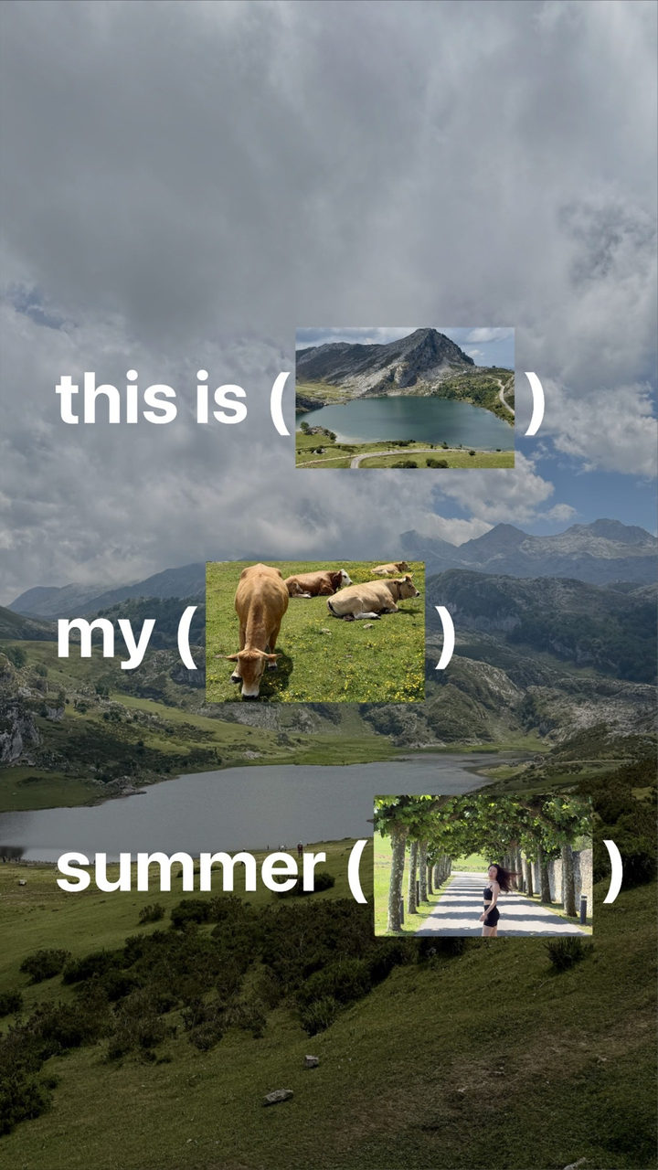 What I did this summer